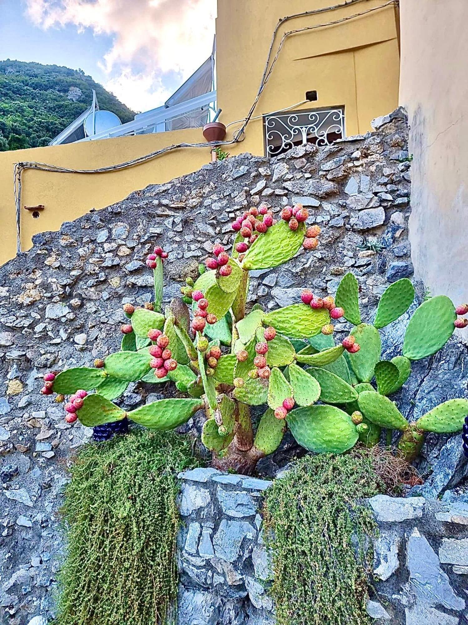 Marilu Vacation Home In Positano Exterior photo